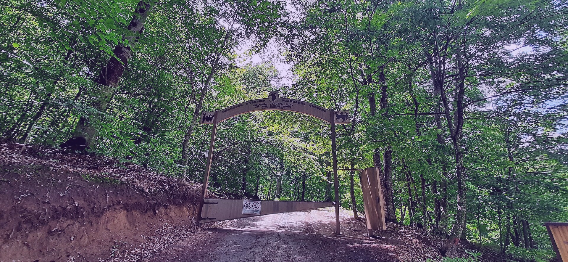 A serene scene near the Brown Bridge in Danashire. Captured by Melanie Hobbs on 2021-10-12.