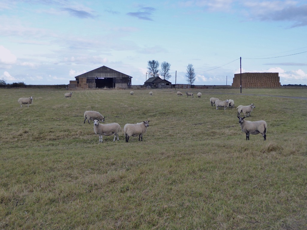 A bustling scene near the Schwartz Harbour in Port Adamborough. Captured by Stephanie Kelley on 2023-02-03.