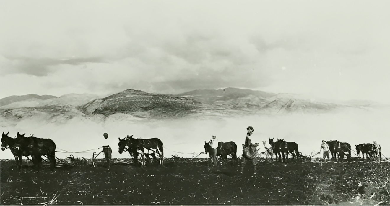 A historic scene near the Rodriguez Tower in Riveraberg. Captured by Valerie Griffith on 2026-01-31.