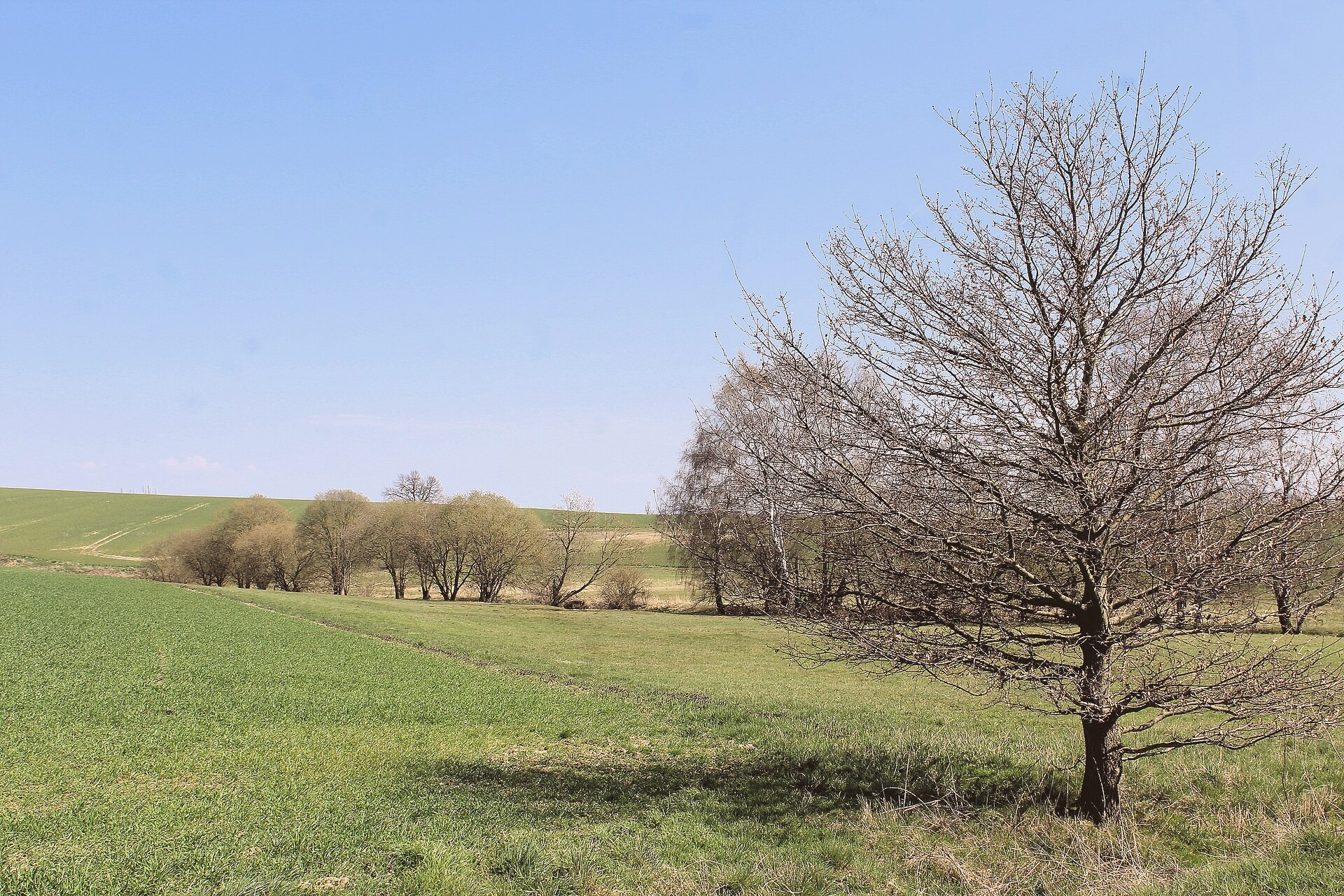File photo showing the Robinson Bridge in Youngside, Angola. Taken 2024-05-19 by Kimberly Cook for Shelton Agency.