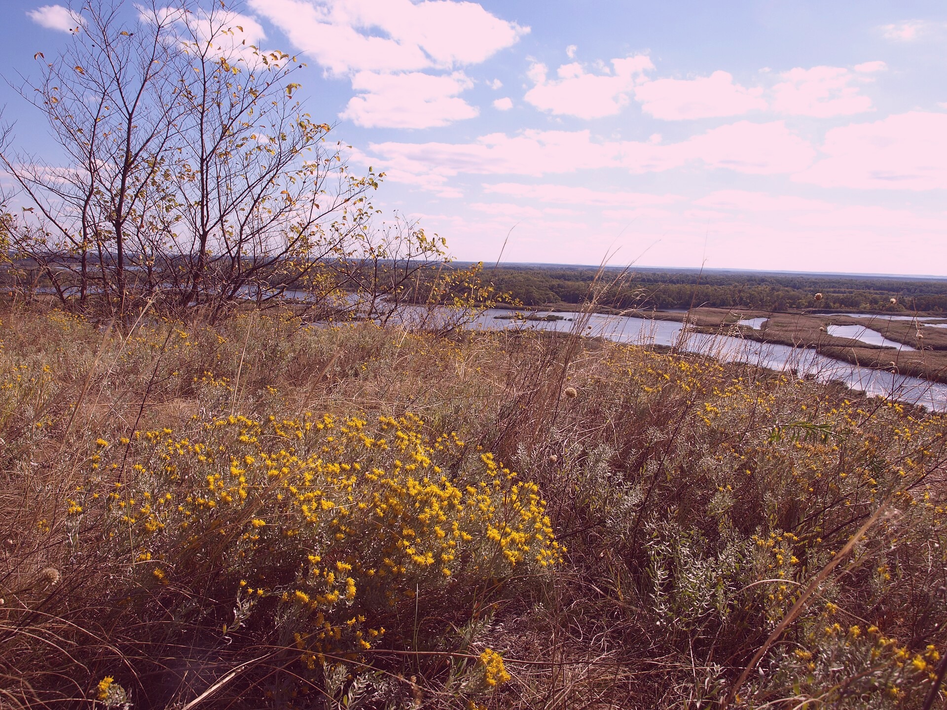 A panoramic scene near the Lynch Park in Jonesbury. Captured by William Cardenas on 2022-08-02.