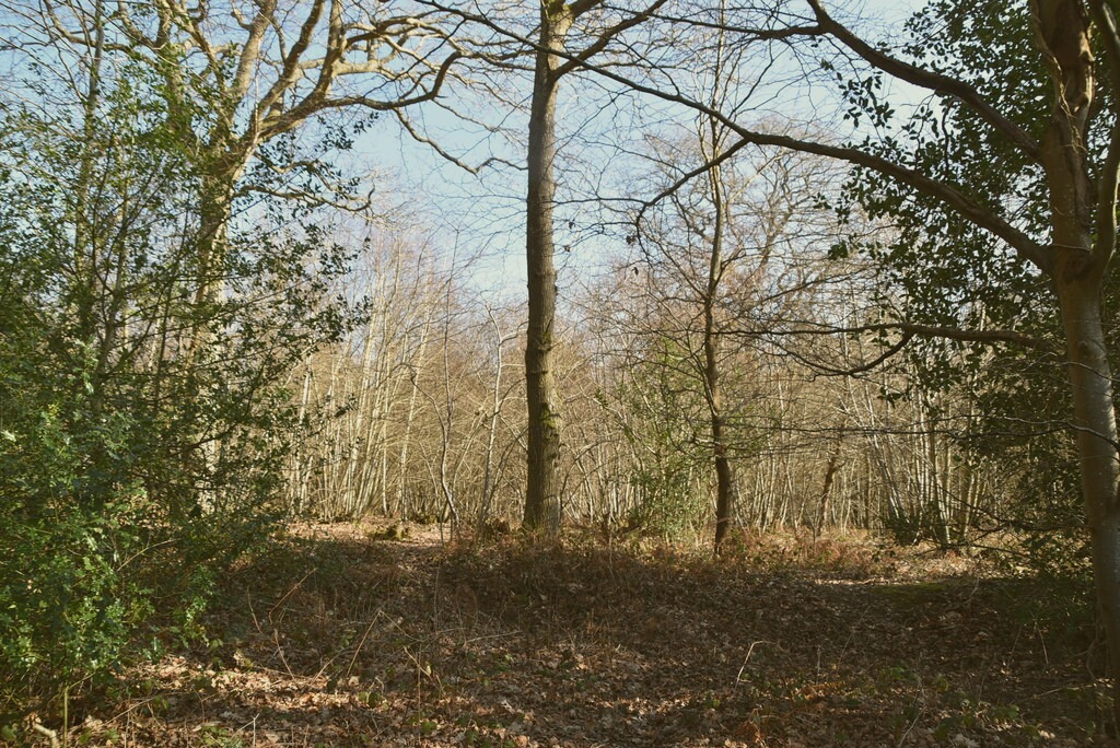 File photo showing the Lamb Square in North David, United States Minor Outlying Islands. Taken 2025-06-14 by Catherine Davis for Nguyen Media.