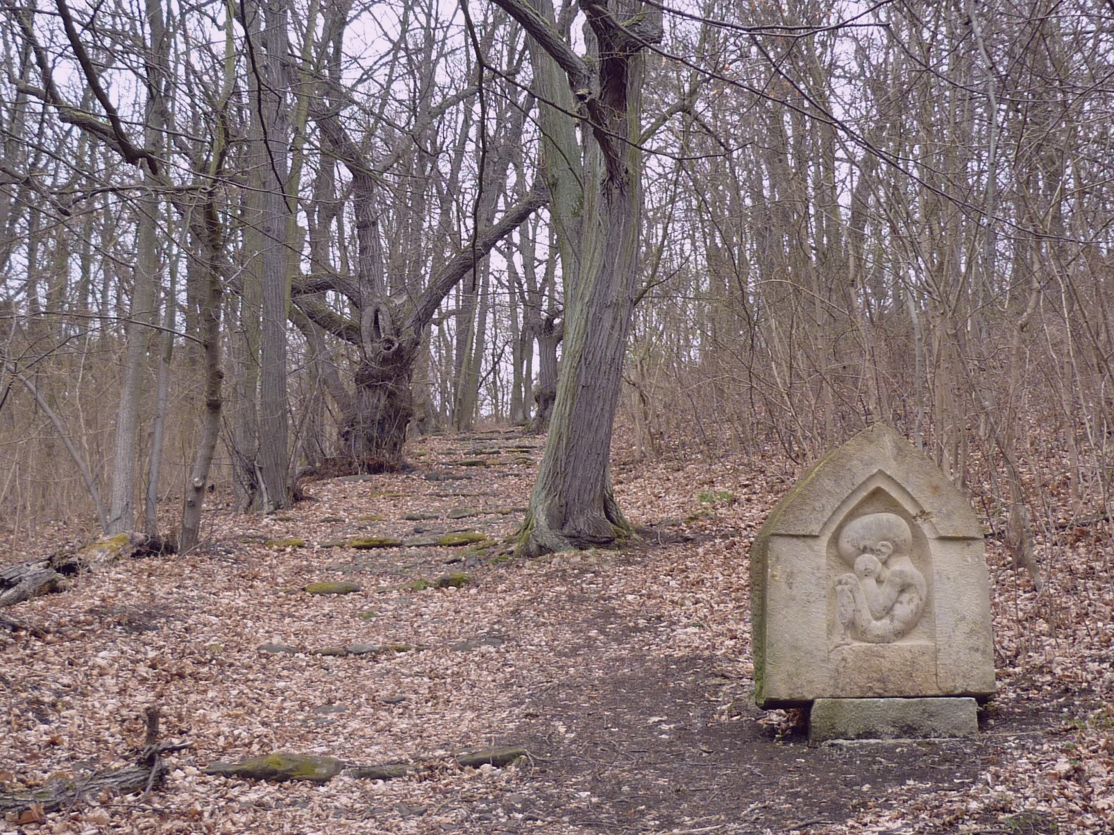 File photo showing the Nichols Park in Alexisport, Syrian Arab Republic. Taken 2023-03-21 by Lisa Mathews for Kirk Institute.