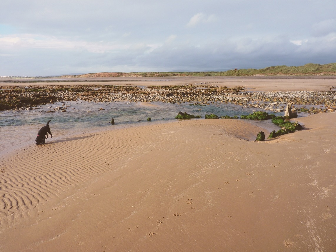 A serene scene near the Barnes Harbour in Joshuaport. Captured by Brenda Schultz on 2026-03-11.