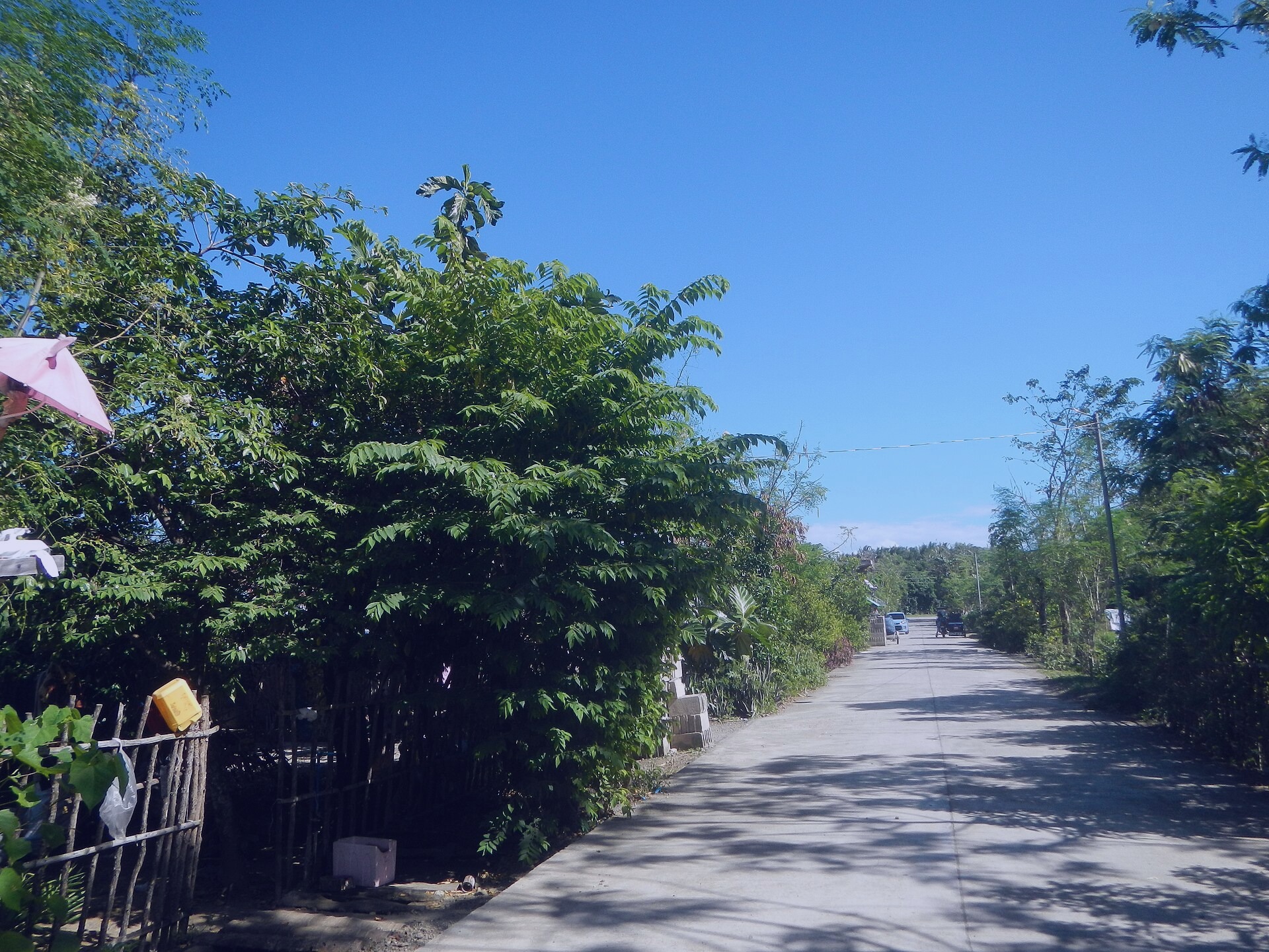 A bustling scene near the Gould Bridge in New Tracyburgh. Captured by Stephen Little on 2021-07-19.