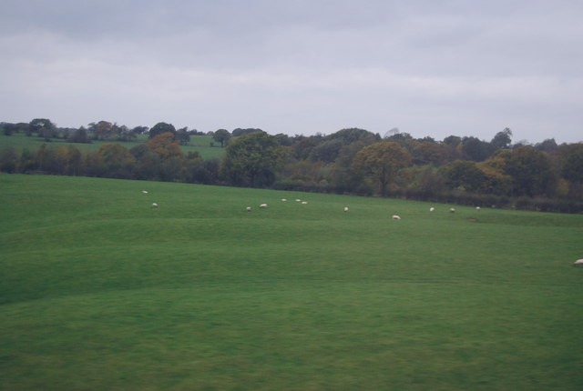 A bustling scene near the Griffin Cathedral in Michaelchester. Captured by Sarah Ray on 2023-12-28.