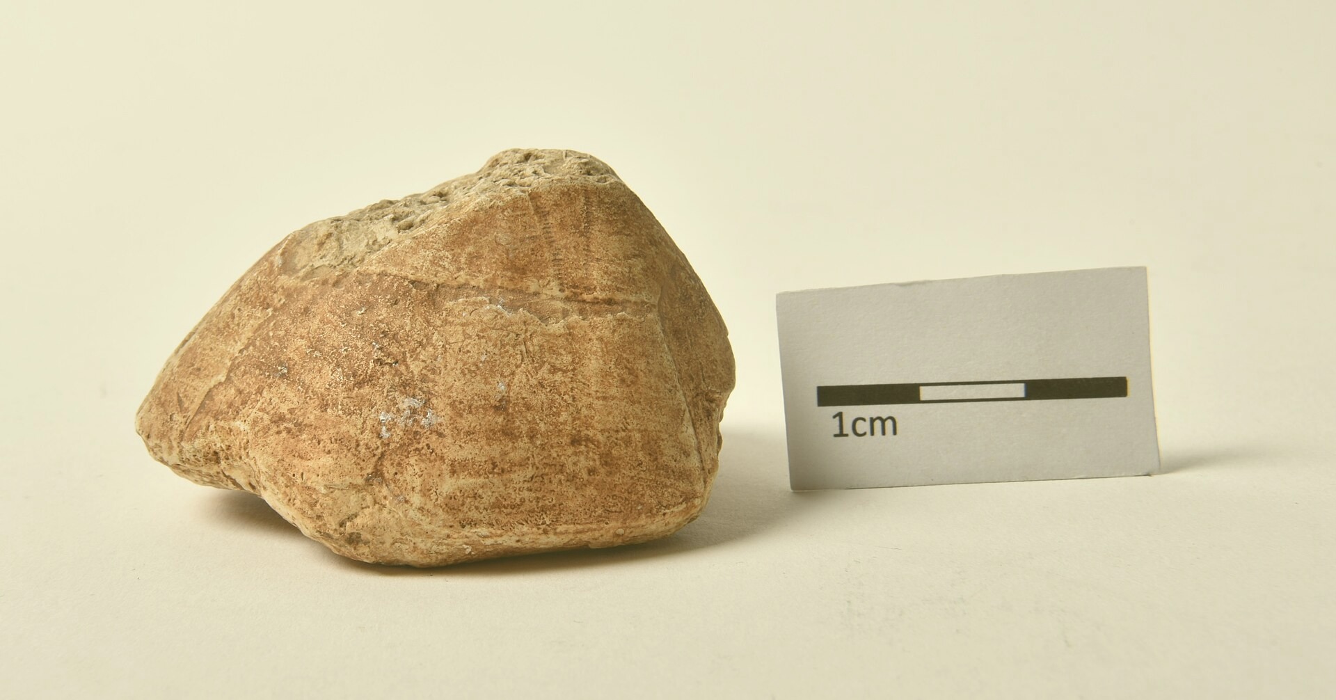 A golden-hour scene near the Norris Cathedral in Port Bradley. Captured by Thomas Hall on 2023-04-30.