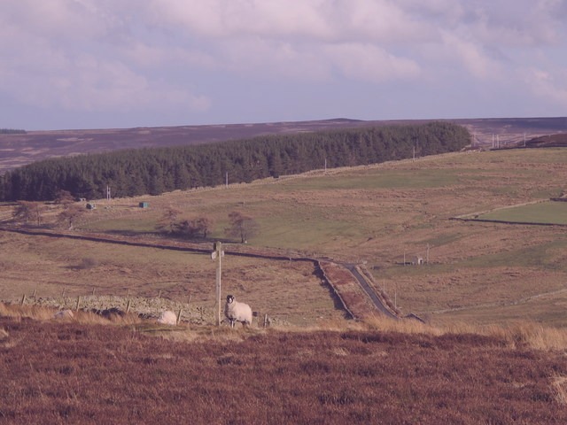 File photo showing the Miller Park in East Danielshire, Ireland. Taken 2022-11-13 by Amy Cameron for Alvarez Media.