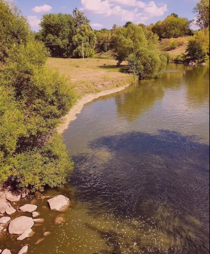 A serene scene near the Wood Monument in North Dennischester. Captured by Amanda Sanders on 2021-06-03.
