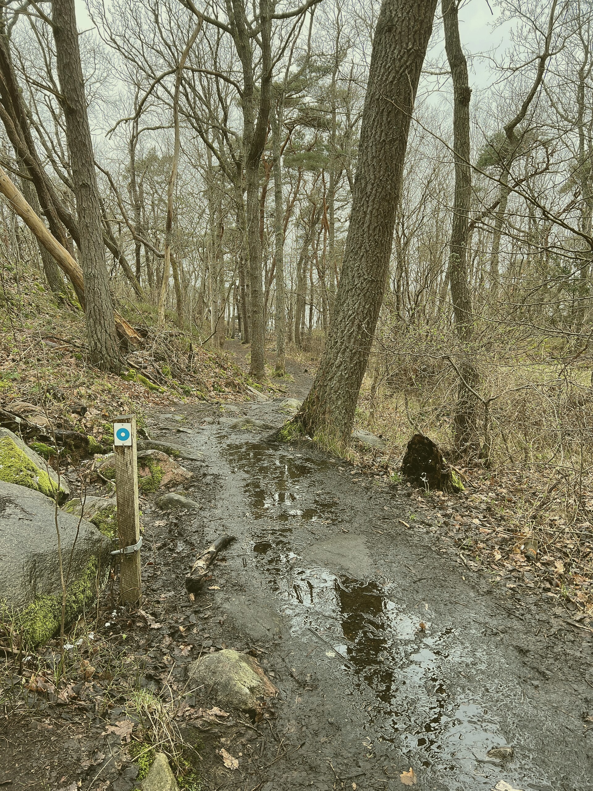 A serene scene near the Gonzales Park in Brianfurt. Captured by Michael Bonilla on 2023-08-10.