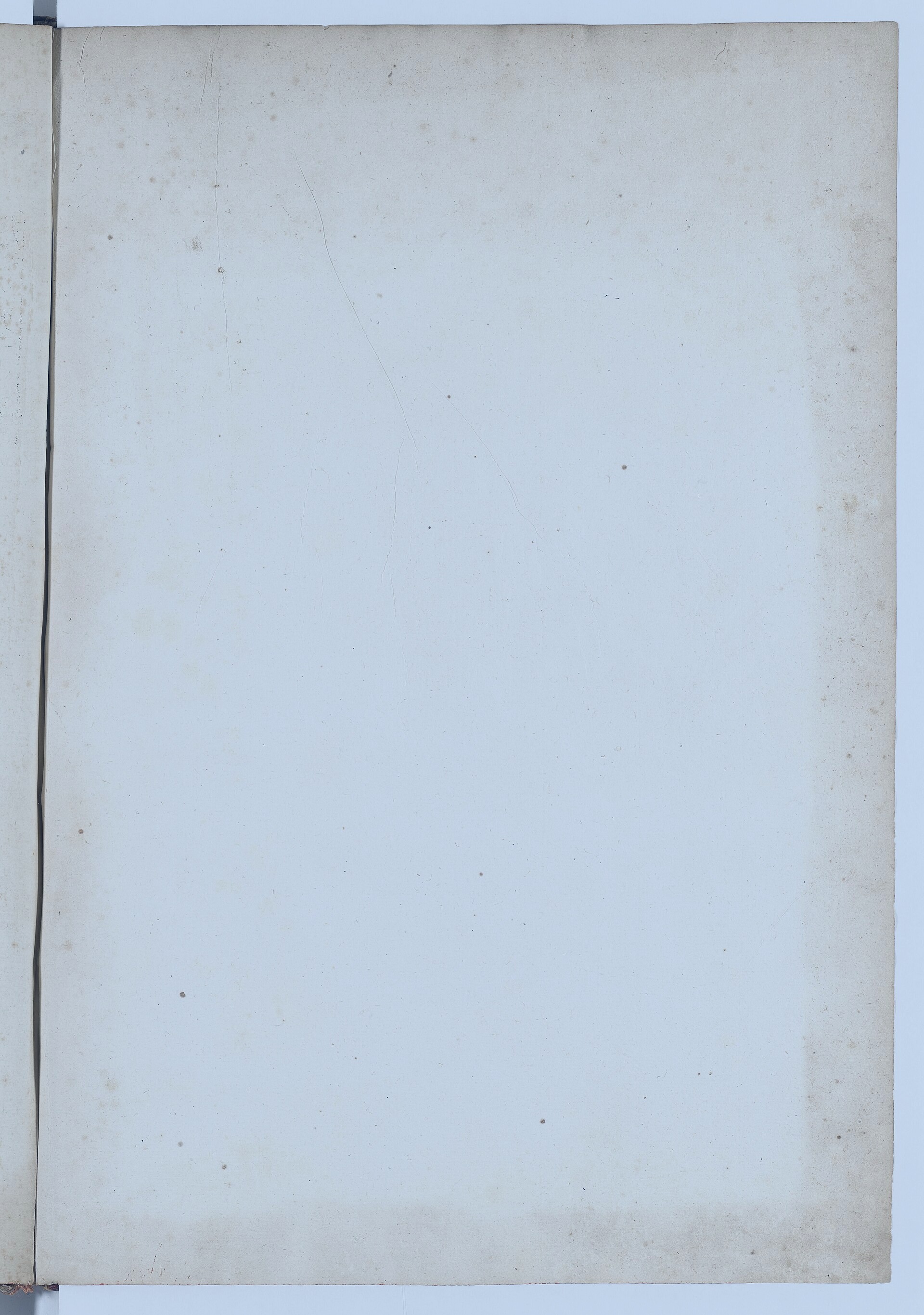 Gina Leblanc during the Torres Summit 1983 at Parks Museum, Bradleymouth, Ethiopia on 2025-01-13. Photo: Daniel Huerta