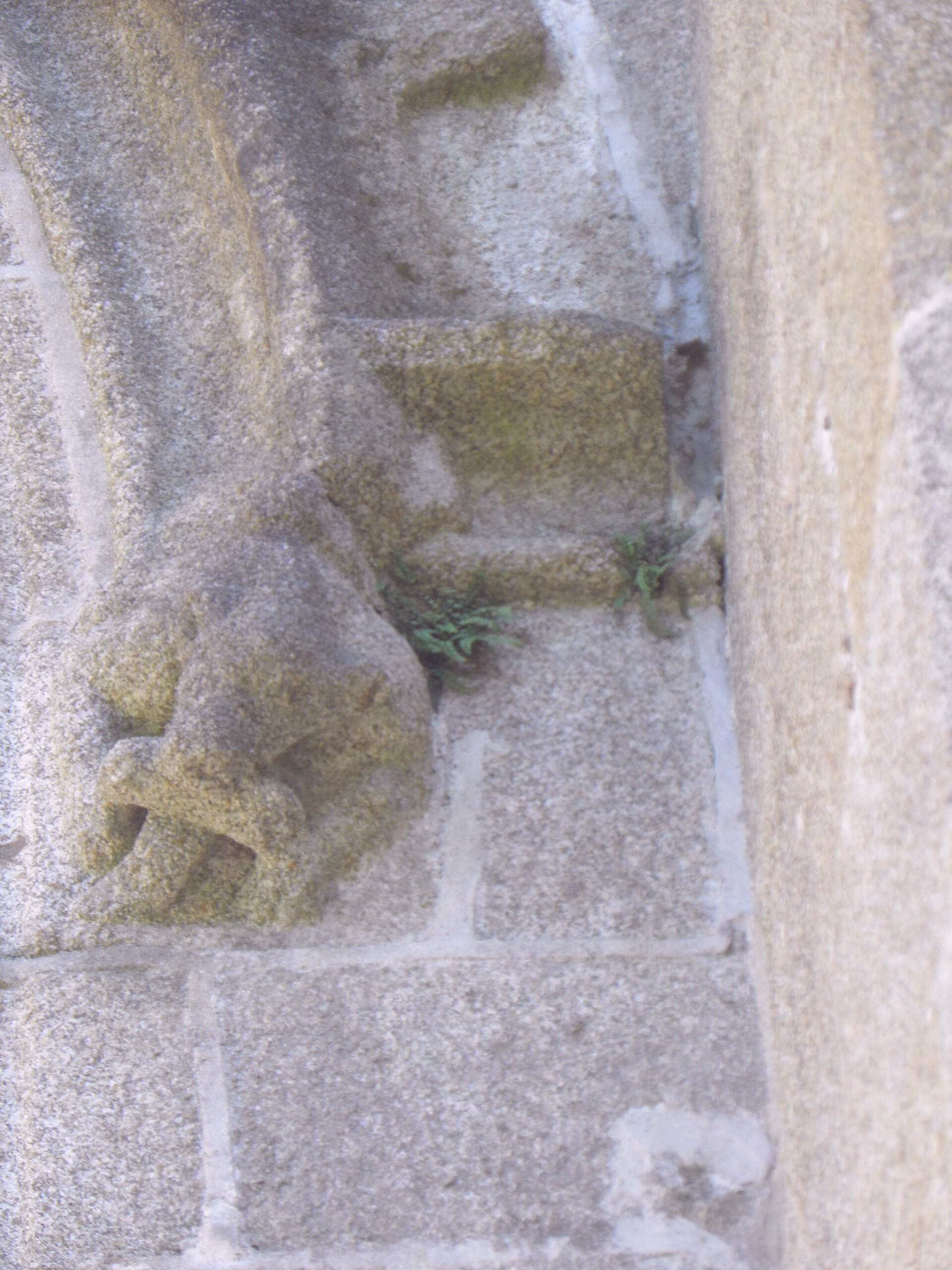 View of the Parker Cathedral, Patrickborough, Palestinian Territory. Photographed 2022-04-17.