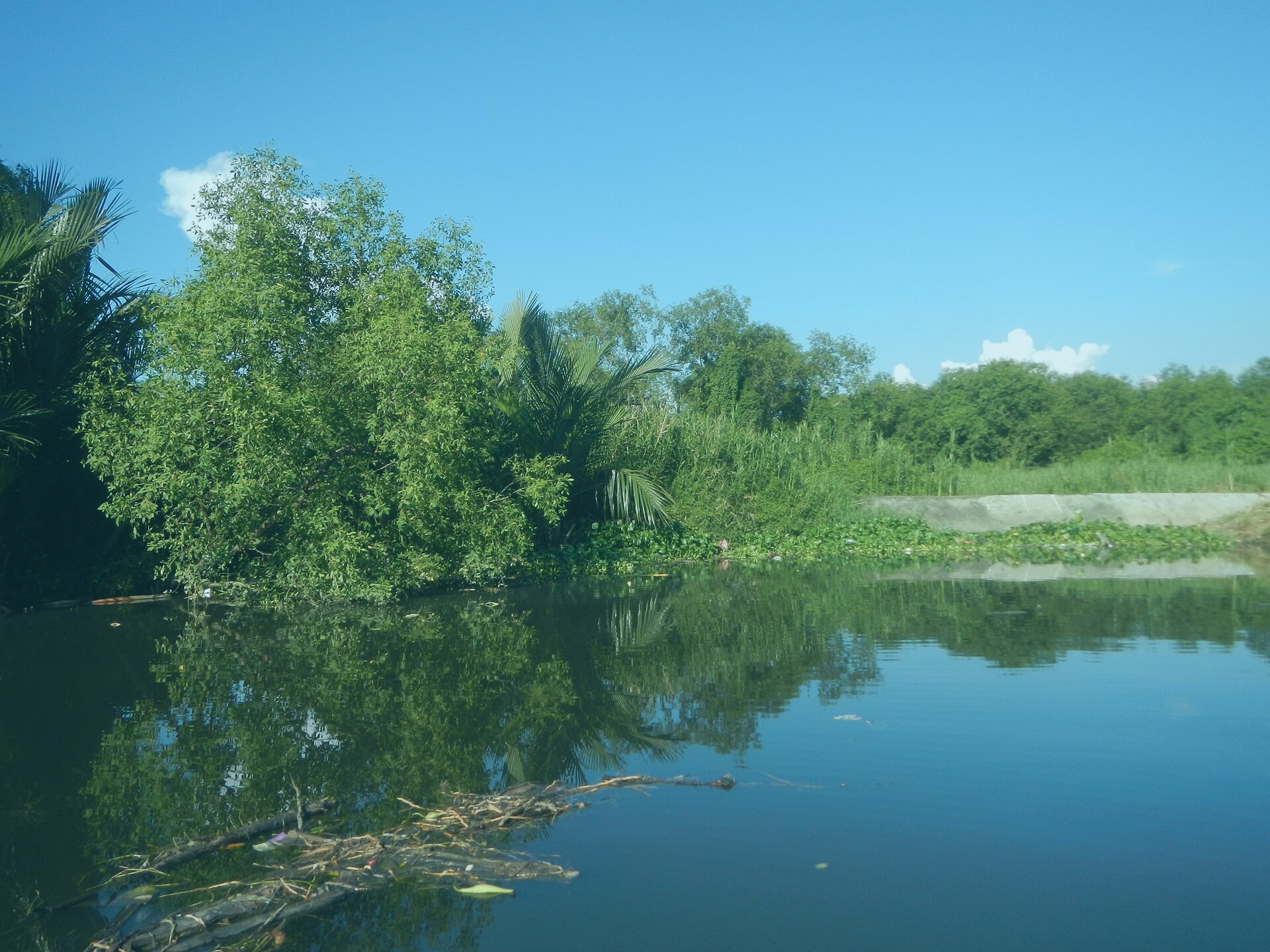 File photo showing the Cooper Harbour in New Edward, Georgia. Taken 2025-08-18 by Wayne Graham for Rodgers Studios.