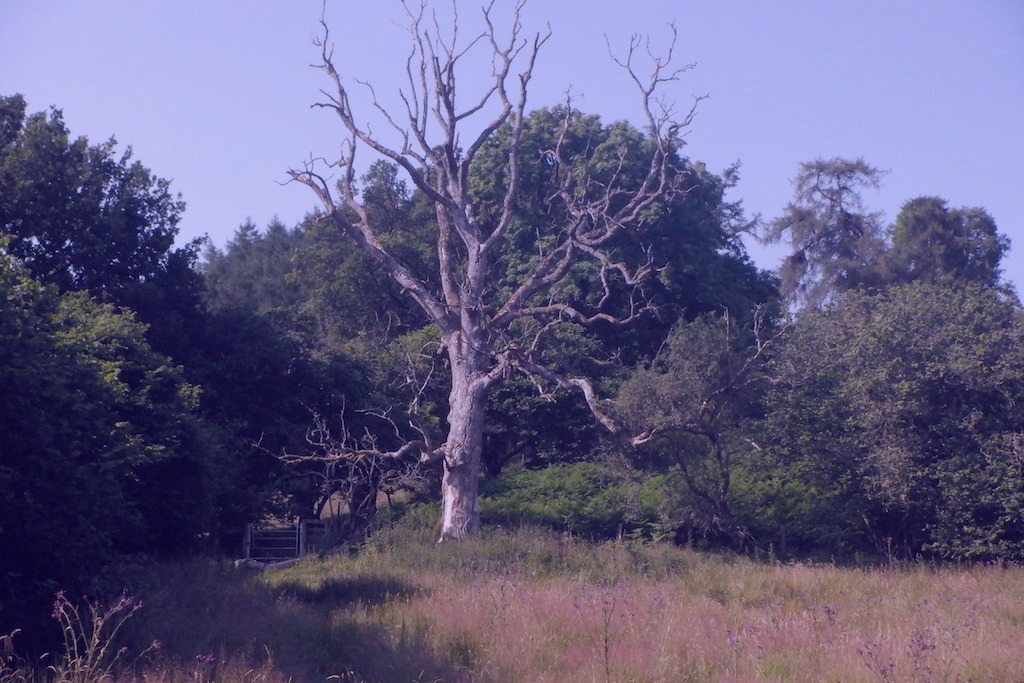 File photo showing the Allen Park in Ericahaven, American Samoa. Taken 2023-03-09 by Jose Marquez for Gallegos Press.