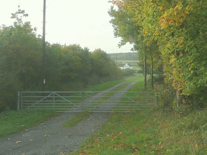 A bustling scene near the Woods Square in Juliabury. Captured by Glenda Lawson on 2022-03-02.