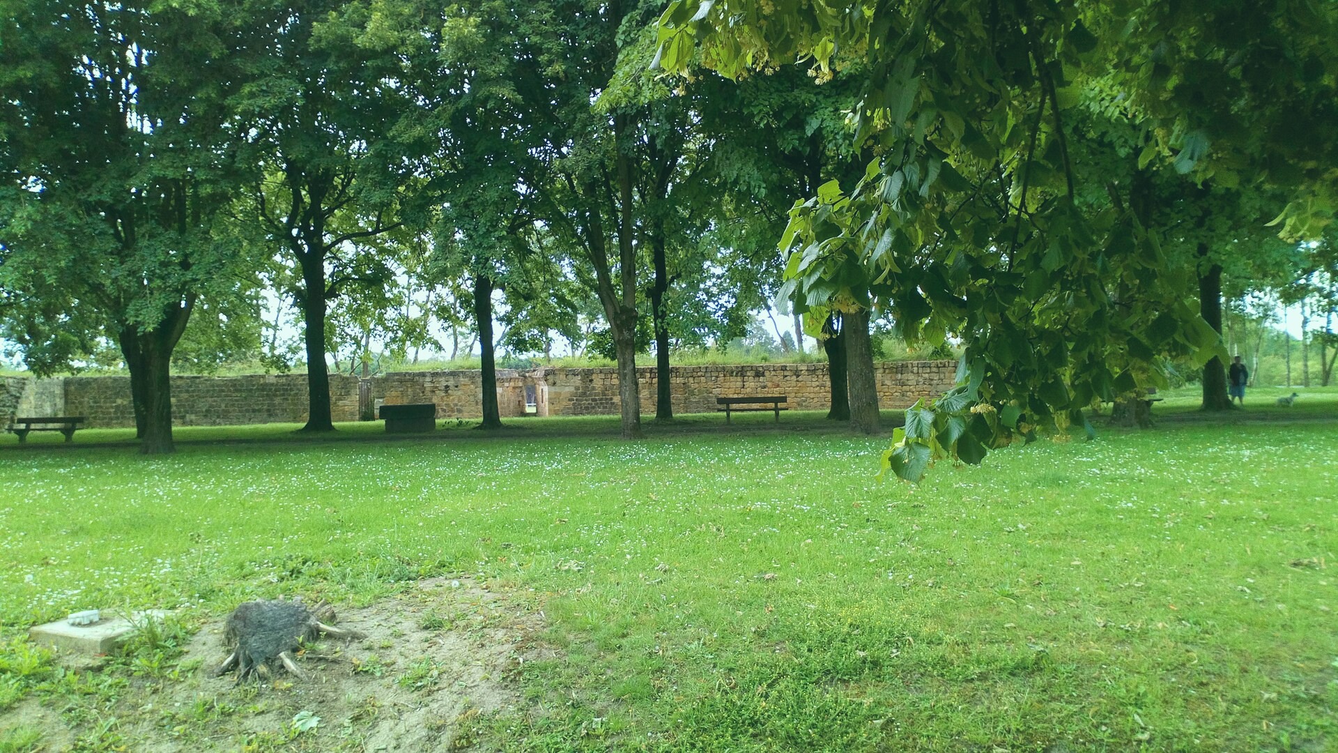 the Brown Square, Shannonland. 2025-05-15. Photographer: Margaret Brown. Garcia Press.