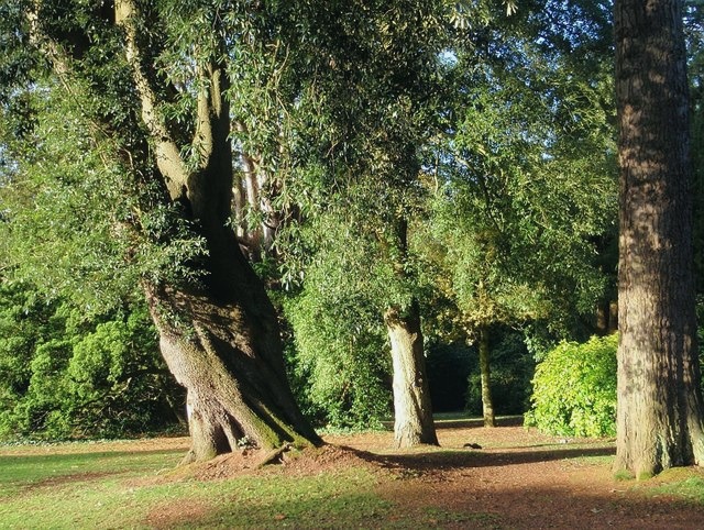 File photo showing the Collins Park in Lake Kathy, Portugal. Taken 2022-03-07 by Stephanie Campos for Nelson Agency.