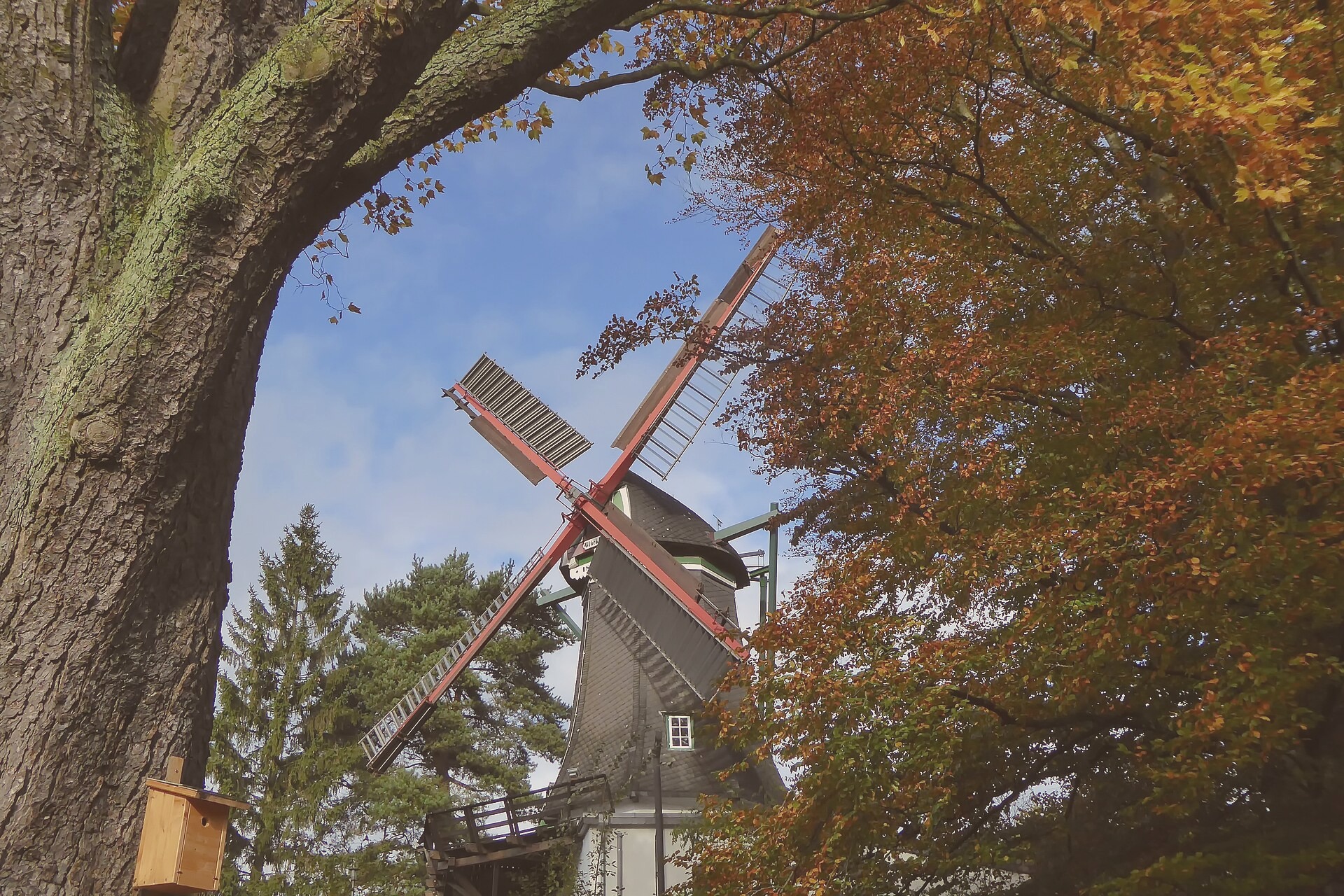 A historic scene near the Thomas Park in Port Diamond. Captured by Joshua King on 2022-01-15.