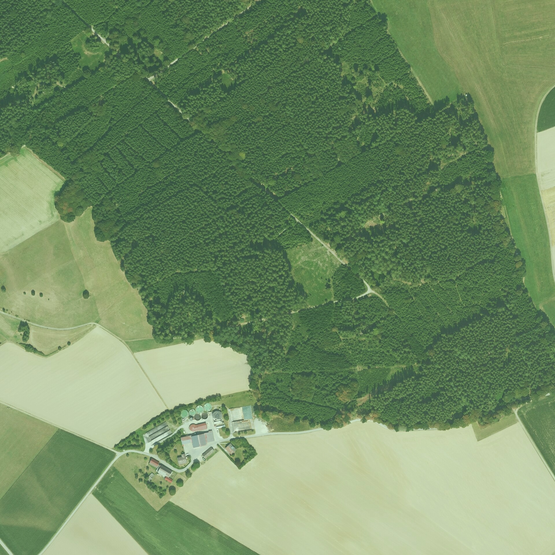 A aerial scene near the Frye Monument in Lake Stevenview. Captured by Lindsay Smith on 2026-02-12.