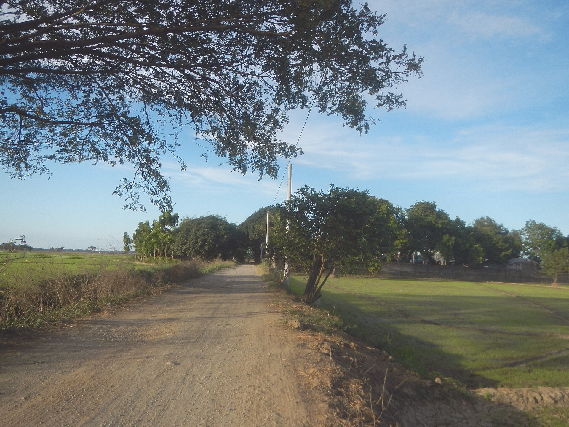 View of the White Park, Lake Erinport, Marshall Islands. Photographed 2021-08-05.