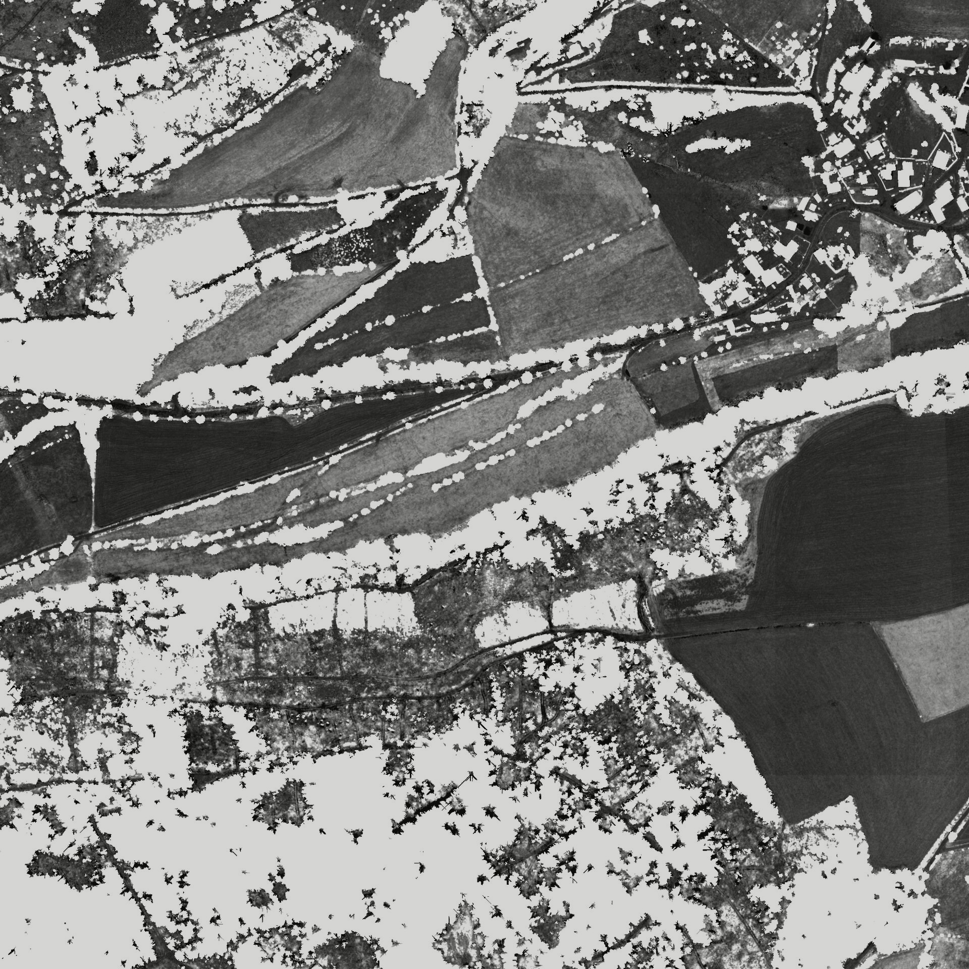 File photo showing the Robinson Bridge in West Jodyshire, Ecuador. Taken 2023-12-25 by Ashlee Walker for Taylor Institute.