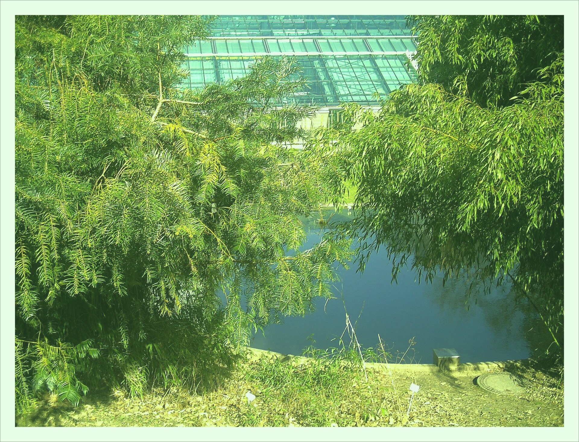 File photo showing the Roberts Park in Mercedeshaven, Belize. Taken 2022-12-26 by Michael Stewart for Robinson Agency.
