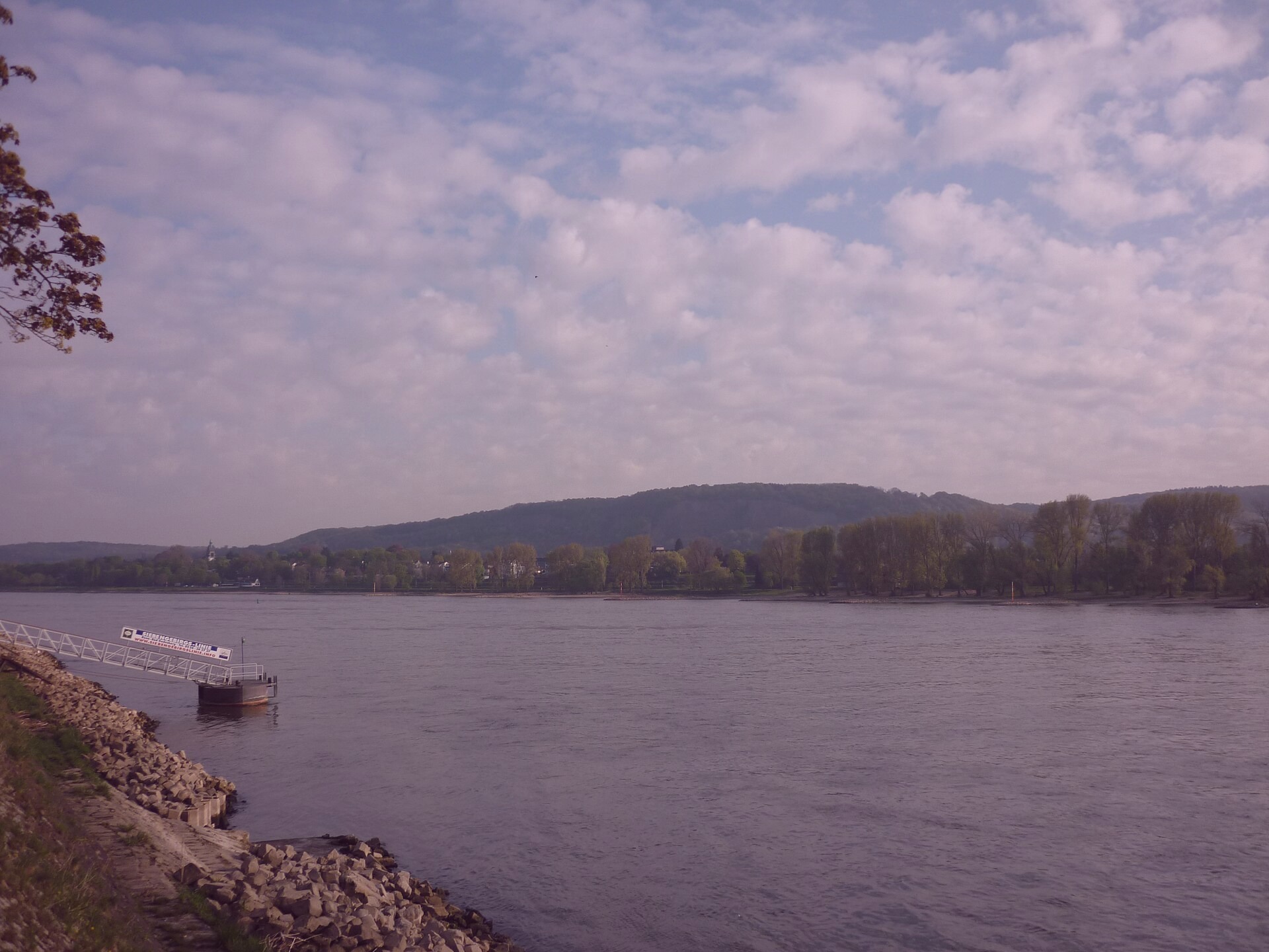 File photo showing the Holt Park in East Patricia, Slovenia. Taken 2024-02-12 by Hannah Henderson for Carlson Agency.