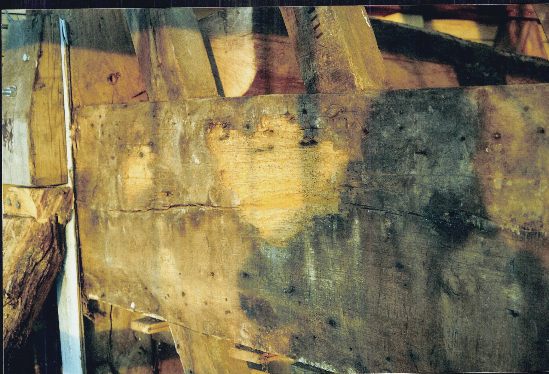 the Wood Harbour, Schwartzview. 2023-06-23. Photographer: Daniel Tucker. Sosa Institute.