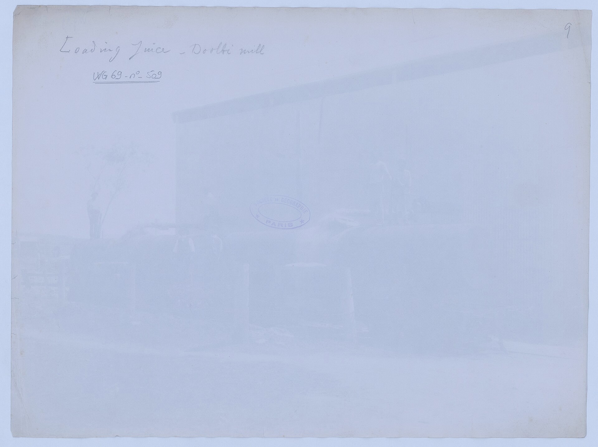 A misty scene near the Stevenson Bridge in Wongmouth. Captured by Diana Hayes on 2024-11-24.