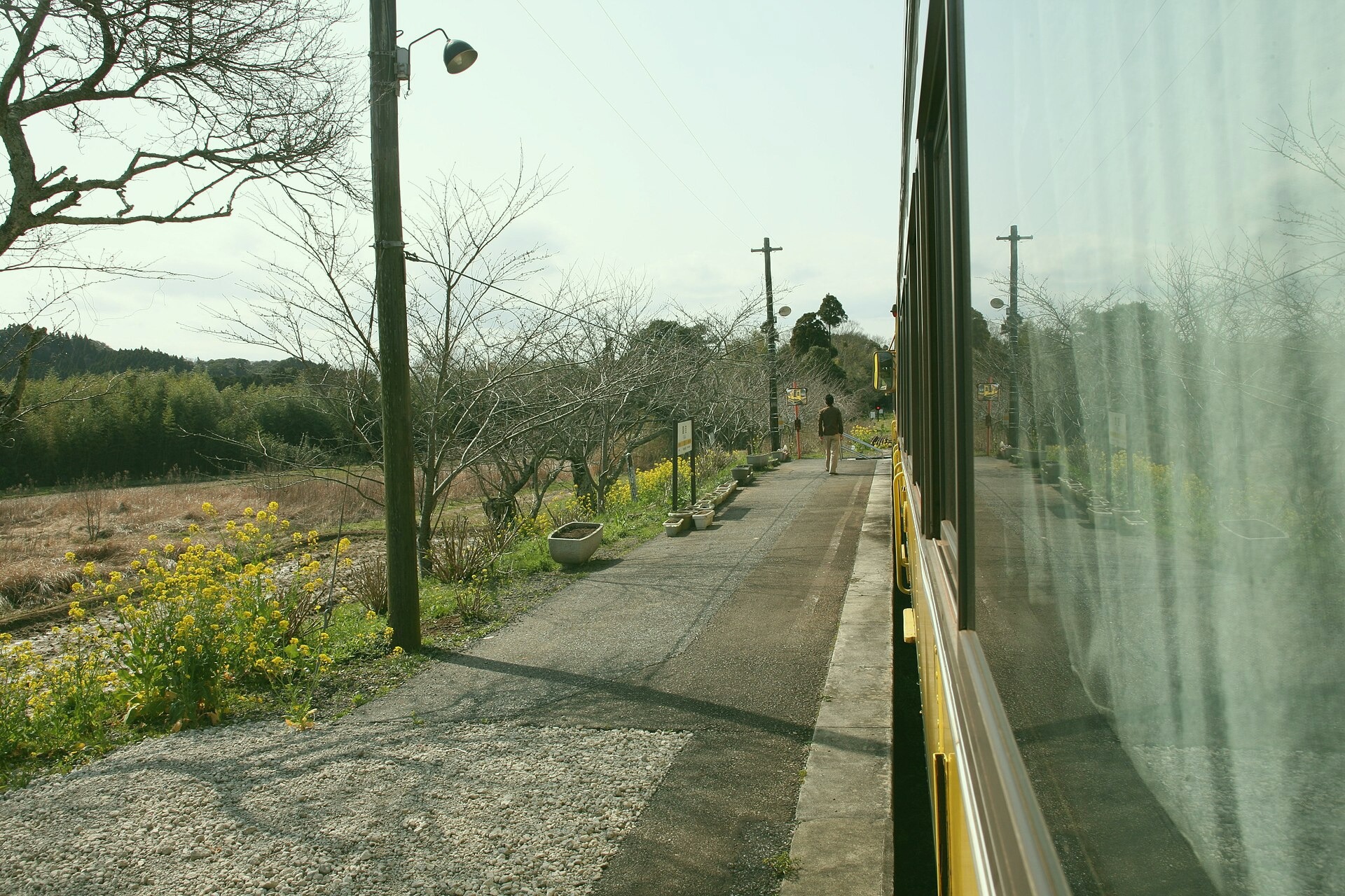 A bustling scene near the White Harbour in Donaldside. Captured by Nicole Guerrero on 2022-08-02.