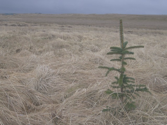 A misty scene near the Gonzalez Cathedral in Danielstad. Captured by Angela Jones on 2022-06-10.