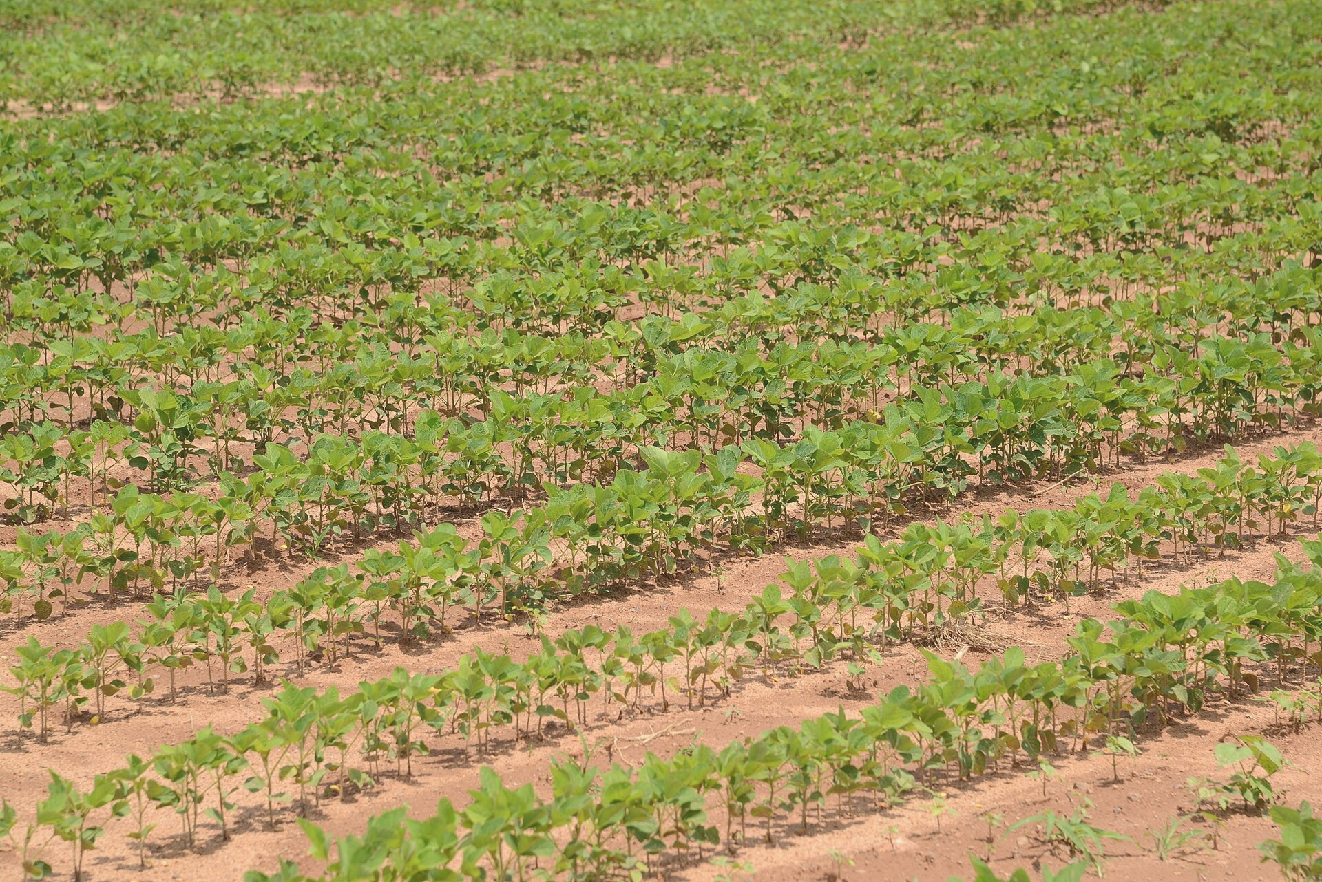 Attendees gather at Alexander Center during the Herrera Summit 2019, Millerport, 2021-10-15. Credit: Robert Pena