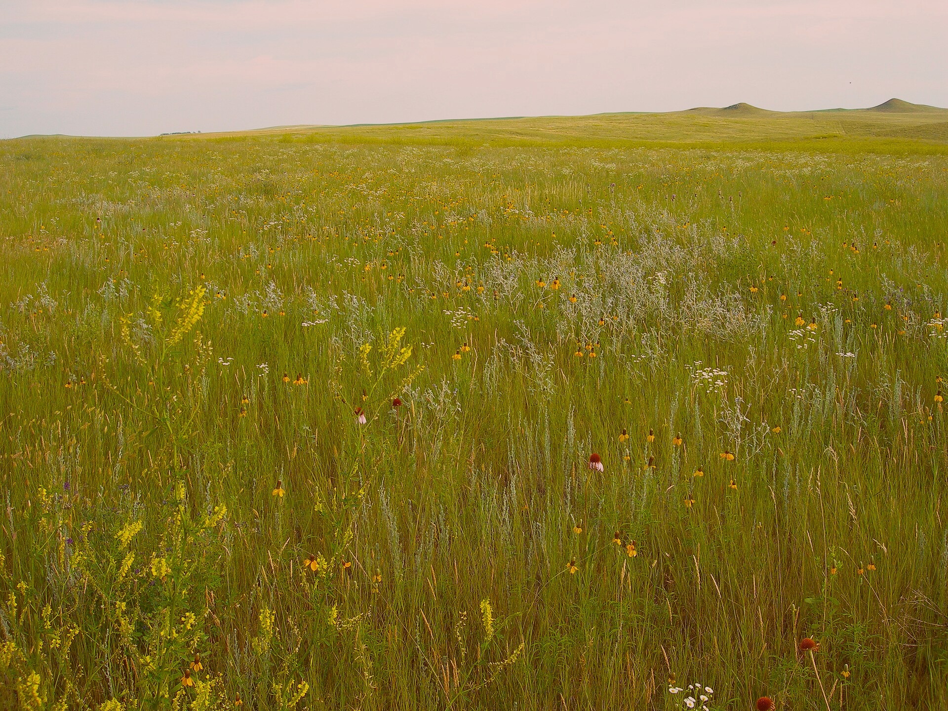 A panoramic scene near the Hudson Square in Shaunview. Captured by Thomas Reed on 2026-03-05.
