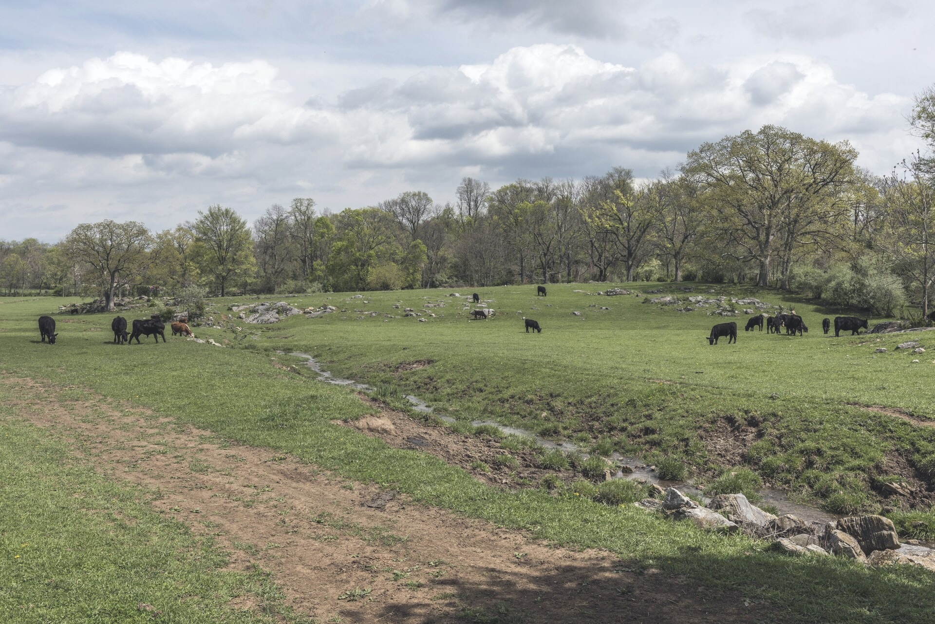 A bustling scene near the Fleming Cathedral in New Michellefurt. Captured by Steven Pittman on 2025-06-22.