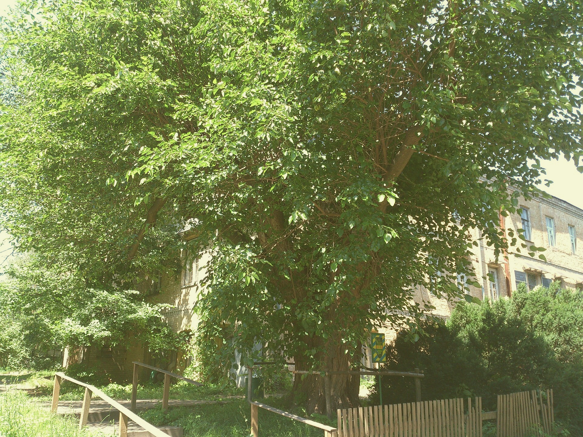 the Jones Square, Birdburgh. 2025-06-12. Photographer: David Brewer. Lewis Press.