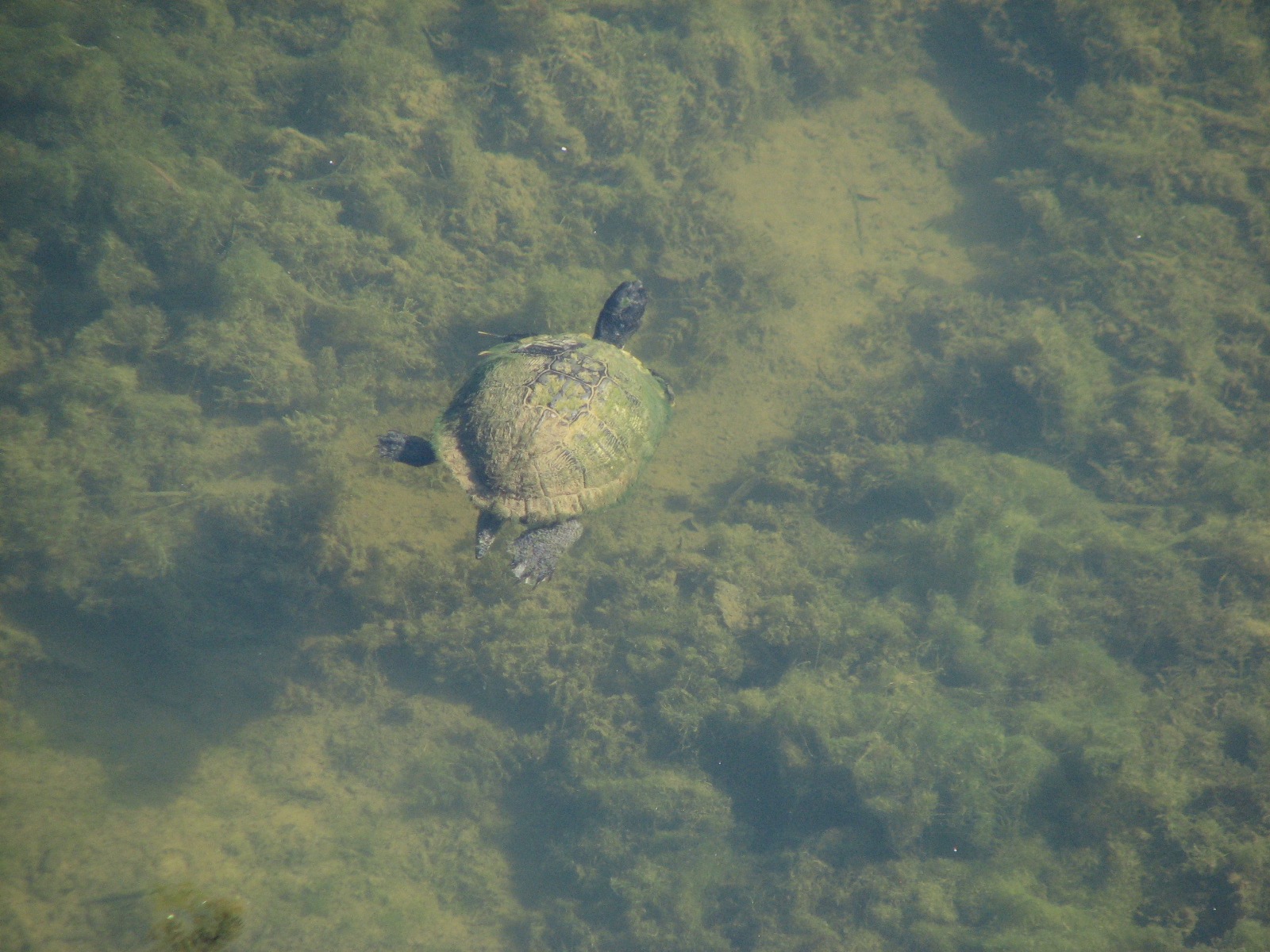 View of the Ramirez Park, Lake Jonathanchester, Dominican Republic. Photographed 2022-06-25.