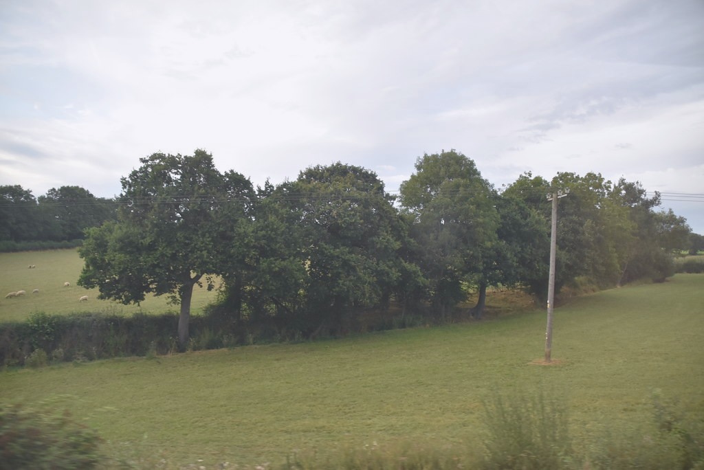 A panoramic scene near the Mcknight Cathedral in East Karen. Captured by James Gonzalez on 2023-09-13.