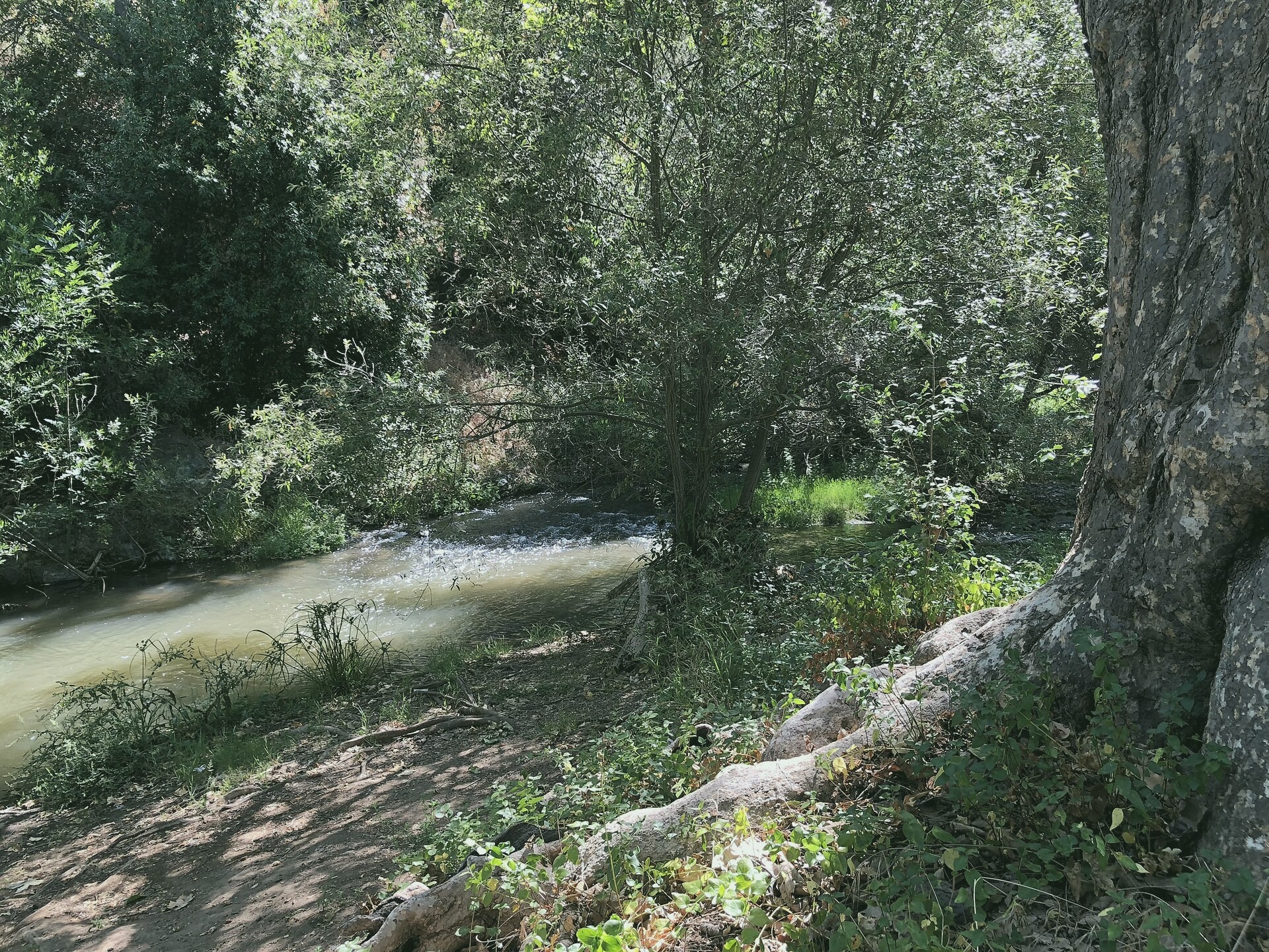 A panoramic scene near the Meyer Park in New Rebeccastad. Captured by Steven Peterson on 2021-10-23.