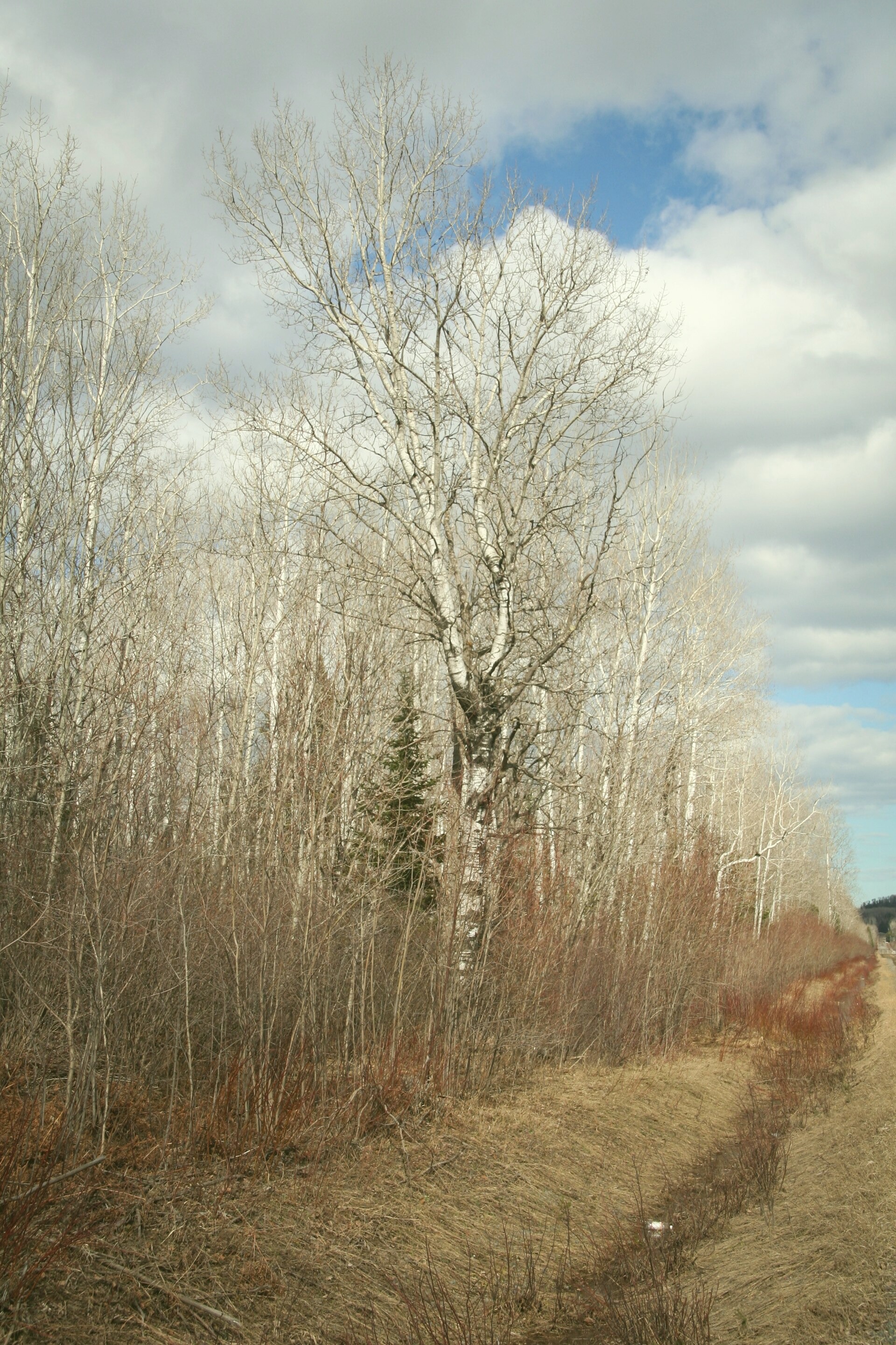 File photo showing the White Cathedral in Samanthaton, Angola. Taken 2024-07-03 by Trevor Cabrera for Wallace Studios.