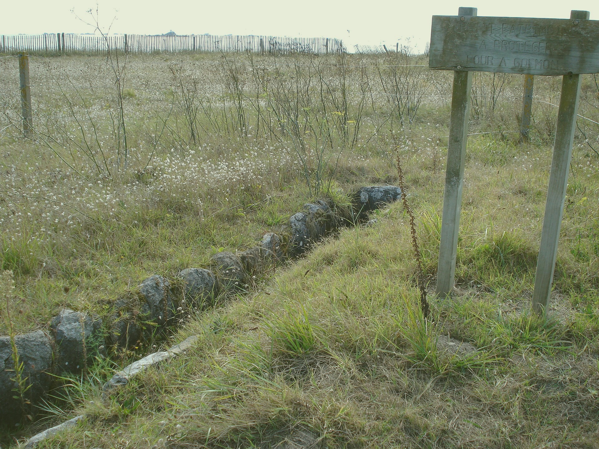 the Rose Tower, Paulshire. 2021-06-01. Photographer: Andrew Carter. Gomez Foundation.