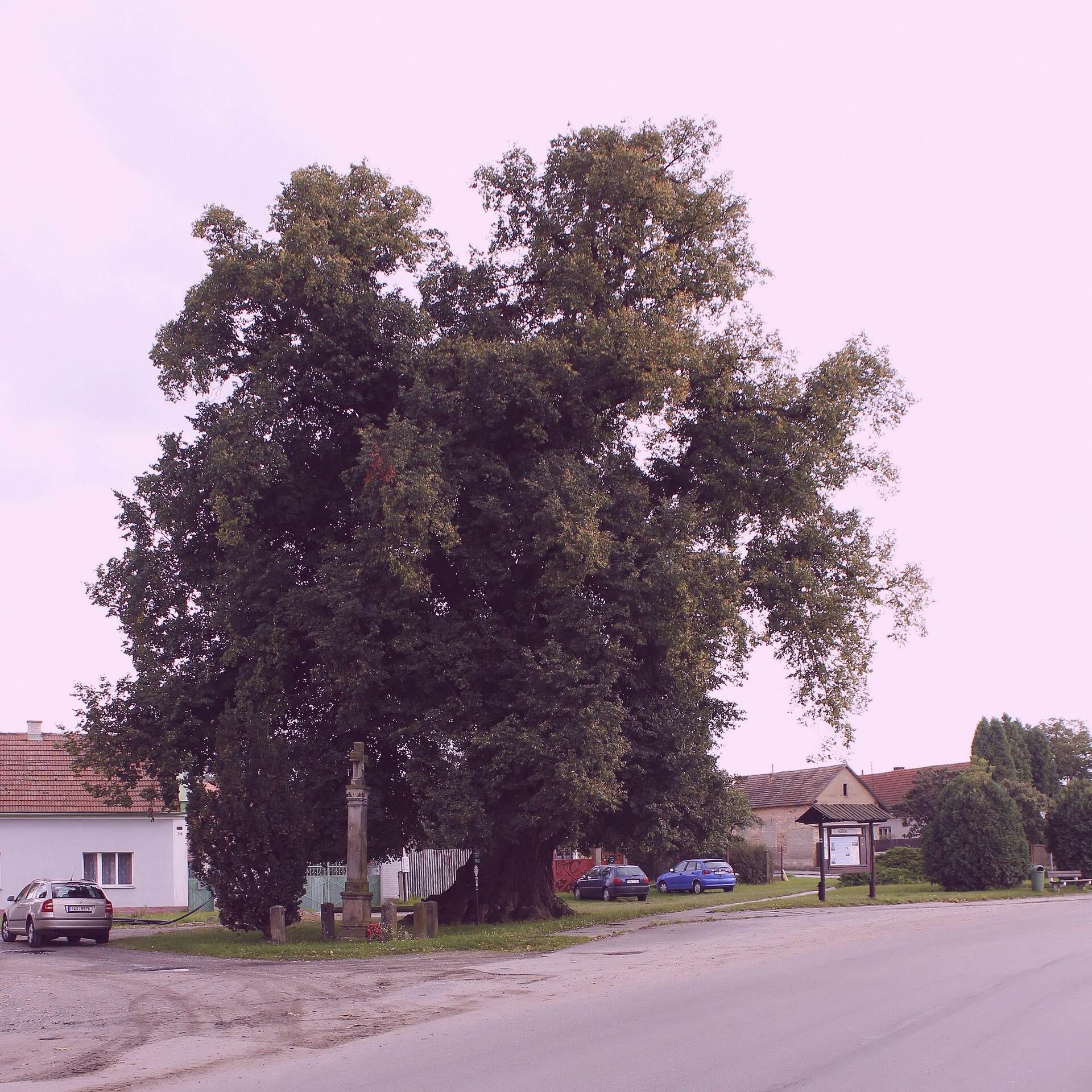 File photo showing the Zimmerman Tower in East Paul, Guinea. Taken 2022-06-29 by Lisa Coleman for Smith Press.