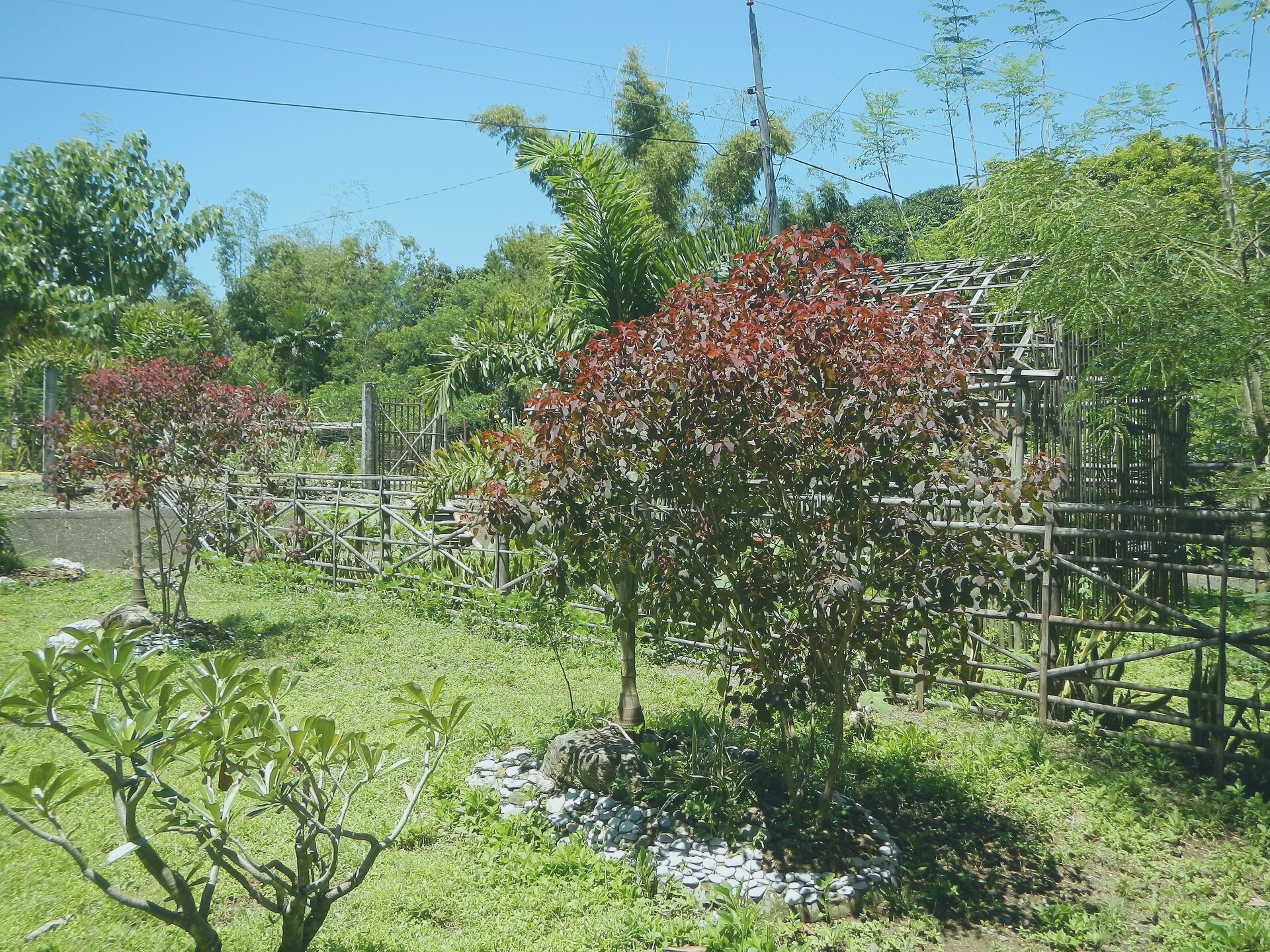 File photo showing the Ponce Square in Rodriguezhaven, Congo. Taken 2024-04-09 by John Rios for Hernandez Foundation.