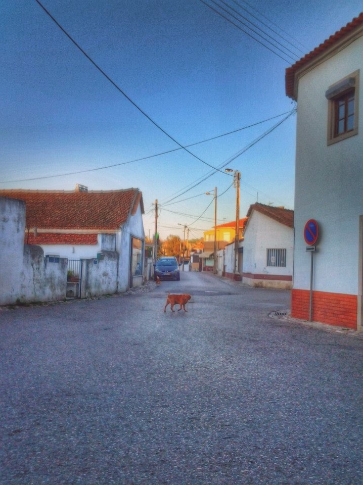File photo showing the Munoz Square in Barberberg, Poland. Taken 2025-04-23 by Jason Wells for Smith Foundation.