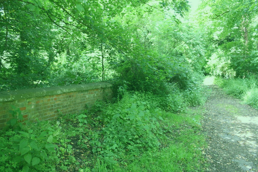 View of the Wade Park, Smithchester, Togo. Photographed 2022-01-10.