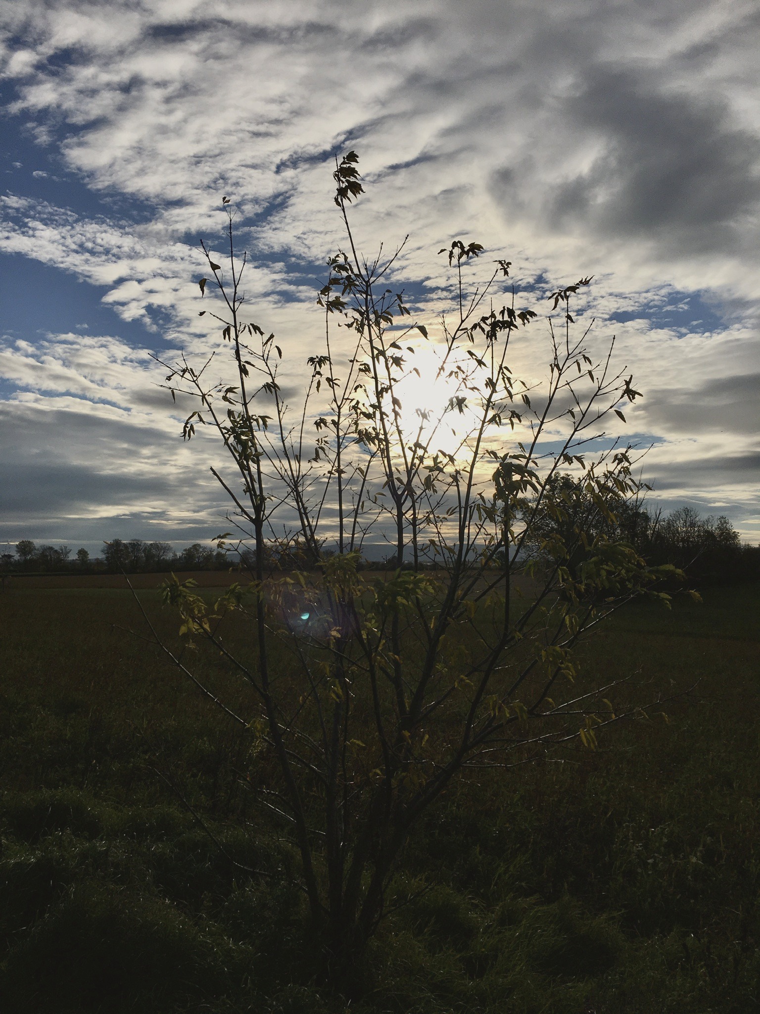 the Thomas Park, North Justin. 2022-10-17. Photographer: Zachary Rhodes. Romero Foundation.