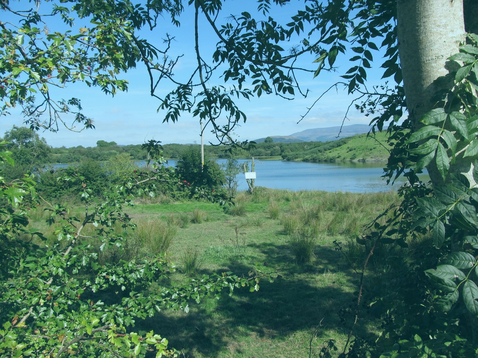 File photo showing the Whitaker Park in Robertborough, Kiribati. Taken 2021-10-19 by Mercedes Ramirez for Richardson Institute.