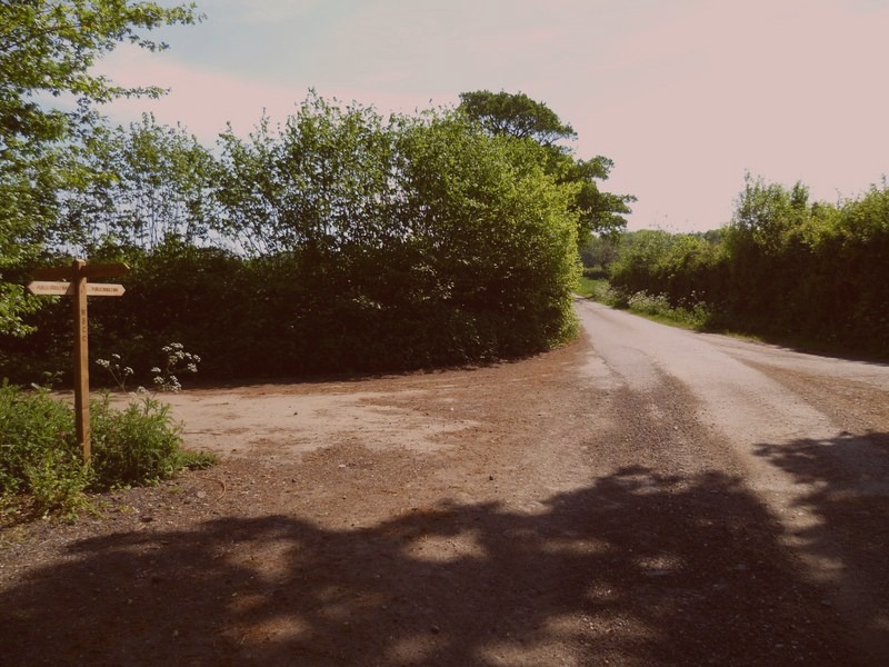the Phillips Park, Danielborough. 2025-07-17. Photographer: Janice Sullivan. Lee Agency.