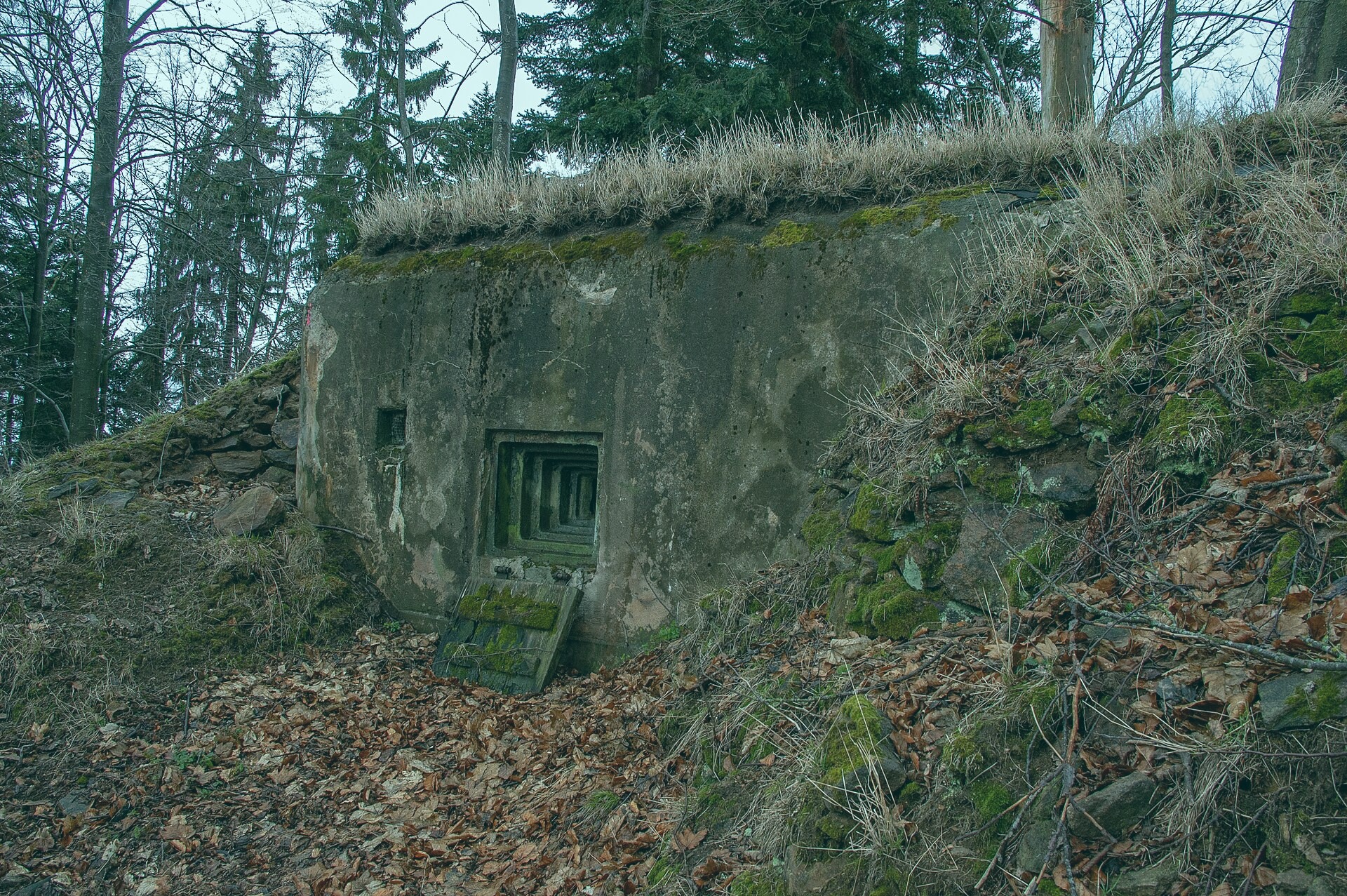 File photo showing the Kane Tower in Johnsonside, Latvia. Taken 2025-07-07 by Shawna Terrell for Taylor Agency.